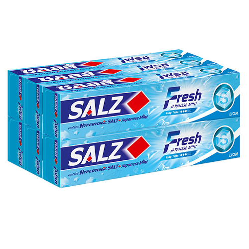 Salz Fresh Toothpaste 90g 1x6